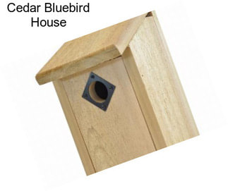 Cedar Bluebird House