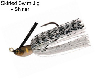 Skirted Swim Jig - Shiner
