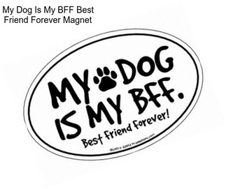 My Dog Is My BFF Best Friend Forever Magnet