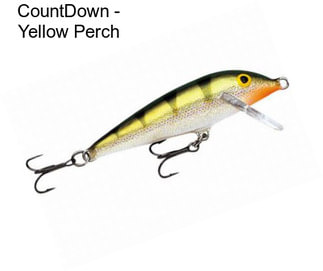 CountDown - Yellow Perch