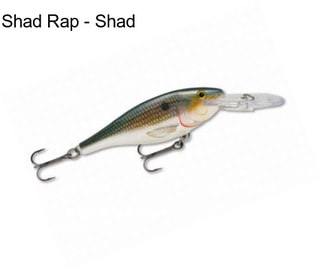 Shad Rap - Shad