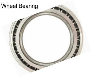 Wheel Bearing