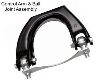 Control Arm & Ball Joint Assembly