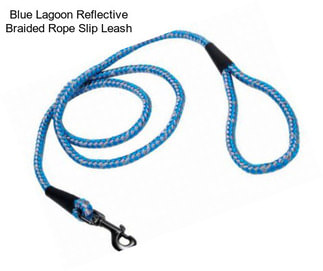 Blue Lagoon Reflective Braided Rope Slip Leash