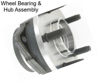 Wheel Bearing & Hub Assembly