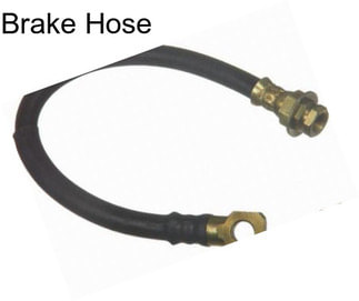 Brake Hose