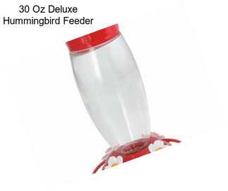 30 Oz Deluxe Hummingbird Feeder