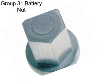 Group 31 Battery Nut