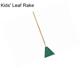 Kids\' Leaf Rake