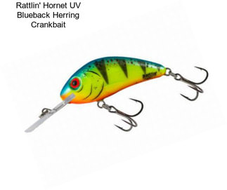 Rattlin\' Hornet UV Blueback Herring Crankbait