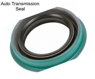 Auto Transmission Seal