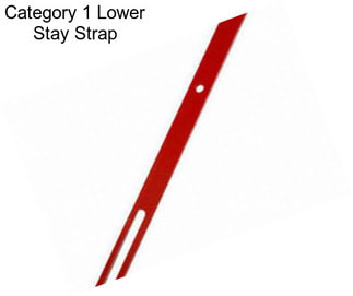 Category 1 Lower Stay Strap