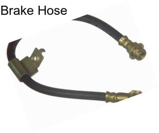 Brake Hose