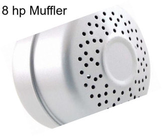 8 hp Muffler