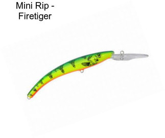 Mini Rip - Firetiger