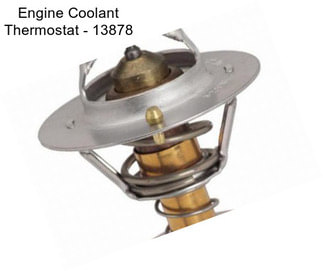 Engine Coolant Thermostat - 13878