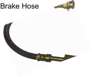 Brake Hose