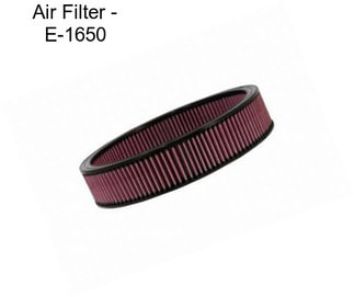 Air Filter - E-1650