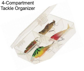 4-Compartment Tackle Organizer