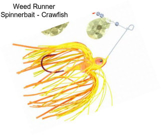 Weed Runner Spinnerbait - Crawfish