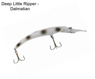 Deep Little Ripper - Dalmatian