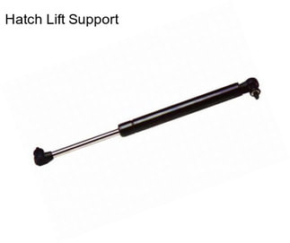 Hatch Lift Support