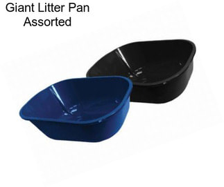 Giant Litter Pan Assorted
