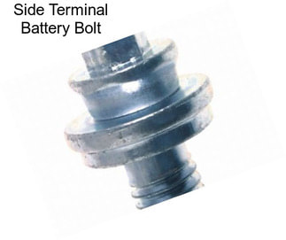 Side Terminal Battery Bolt