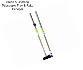 Green & Charcoal Telescopic Tray & Rake Scooper