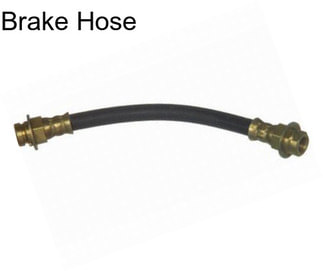 Brake Hose