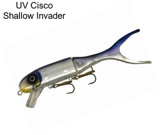 UV Cisco Shallow Invader