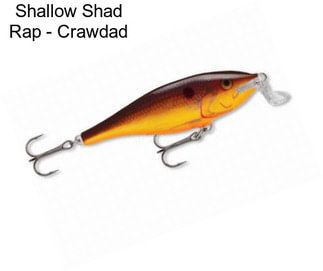 Shallow Shad Rap - Crawdad