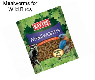 Mealworms for Wild Birds