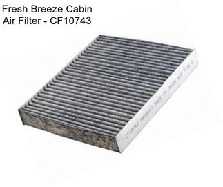 Fresh Breeze Cabin Air Filter - CF10743