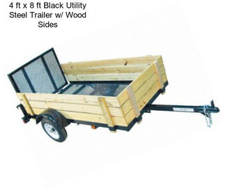 4 ft x 8 ft Black Utility Steel Trailer w/ Wood Sides