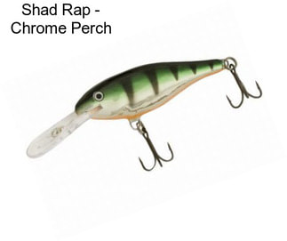 Shad Rap - Chrome Perch