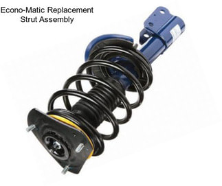 Econo-Matic Replacement Strut Assembly