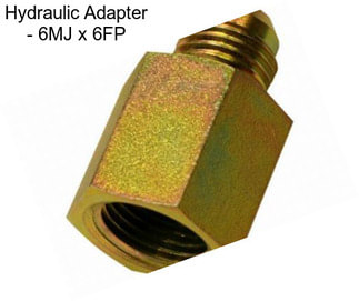 Hydraulic Adapter - 6MJ x 6FP