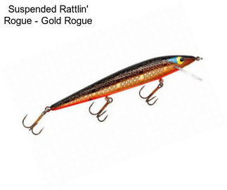 Suspended Rattlin\' Rogue - Gold Rogue