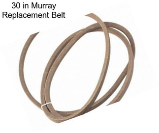 30 in Murray Replacement Belt