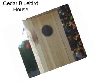 Cedar Bluebird House