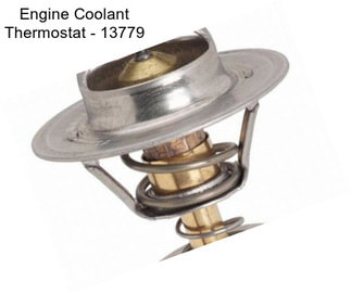 Engine Coolant Thermostat - 13779