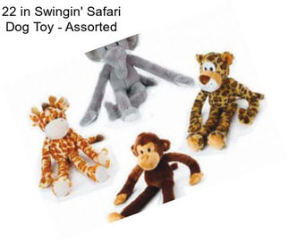 22 in Swingin\' Safari Dog Toy - Assorted