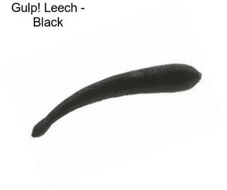 Gulp! Leech - Black