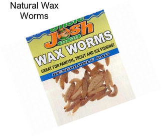 Natural Wax Worms