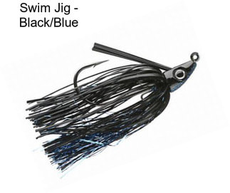 Swim Jig - Black/Blue