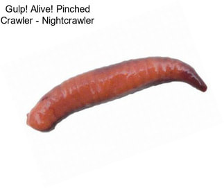 Gulp! Alive! Pinched Crawler - Nightcrawler