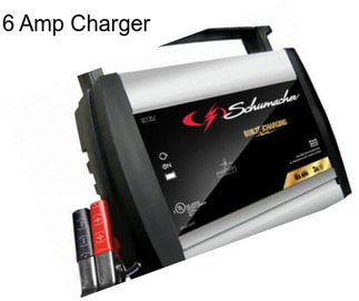 6 Amp Charger