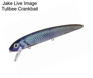 Jake Live Image Tulibee Crankbait