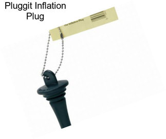 Pluggit Inflation Plug